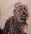 yolande - PORTRAITS