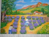 Lavande - Divers paysages et autres
